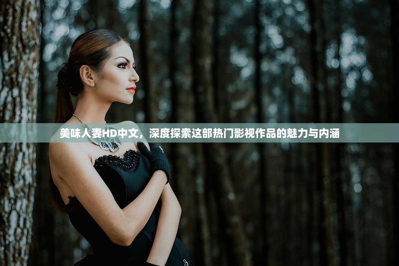 美味人妻HD中文，深度探索这部热门影视作品的魅力与内涵