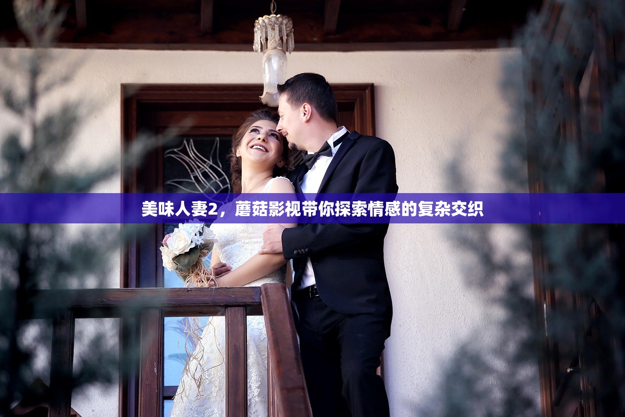 美味人妻2，蘑菇影视带你探索情感的复杂交织