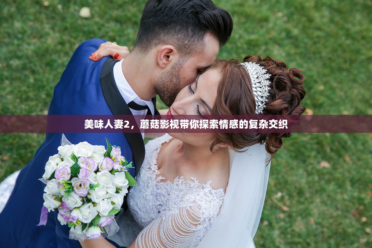 美味人妻2，蘑菇影视带你探索情感的复杂交织