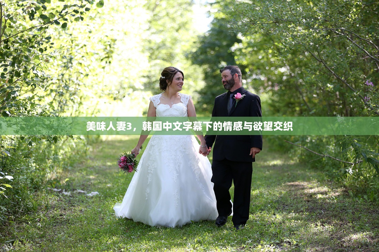美味人妻3，韩国中文字幕下的情感与欲望交织