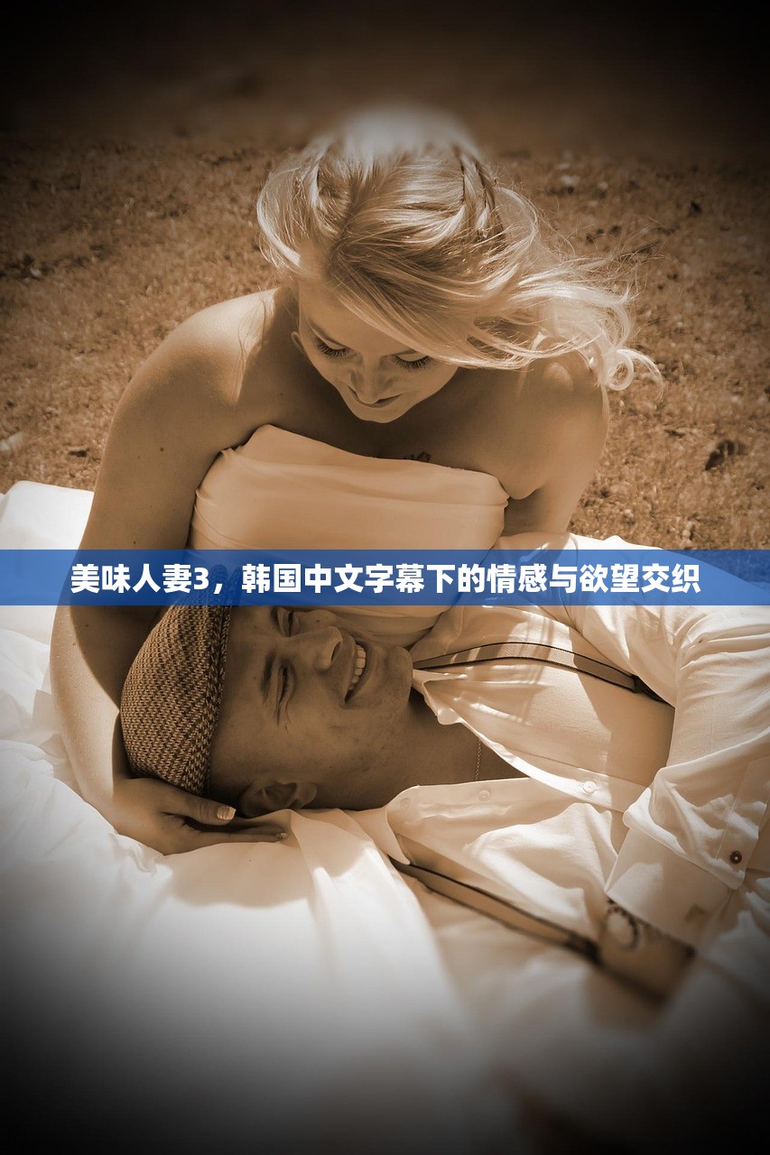 美味人妻3，韩国中文字幕下的情感与欲望交织