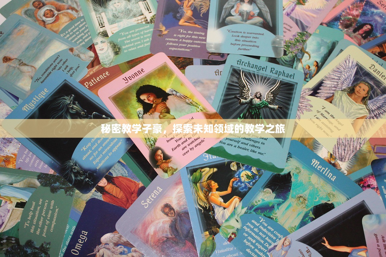 秘密教学子豪，探索未知领域的教学之旅