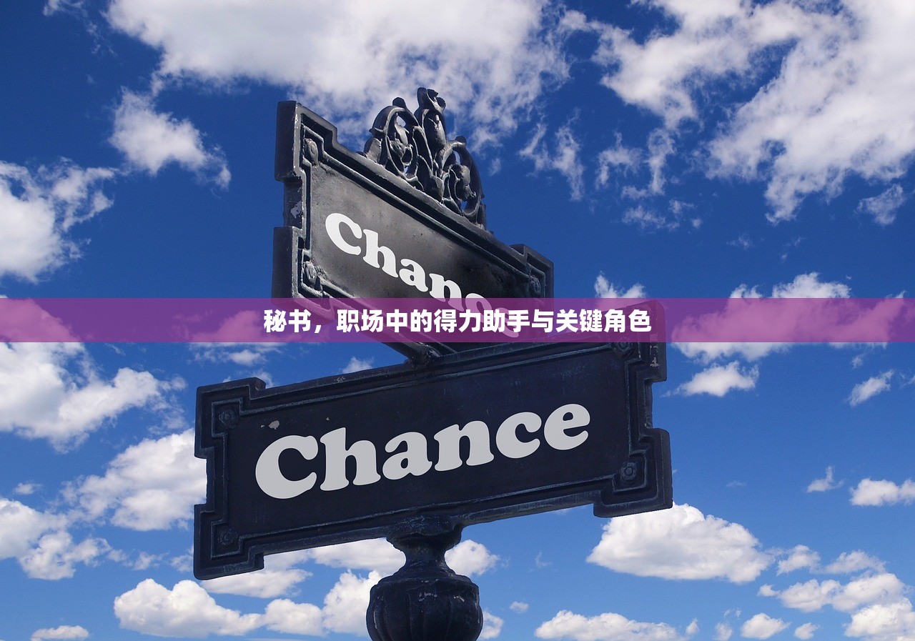 秘书，职场中的得力助手与关键角色