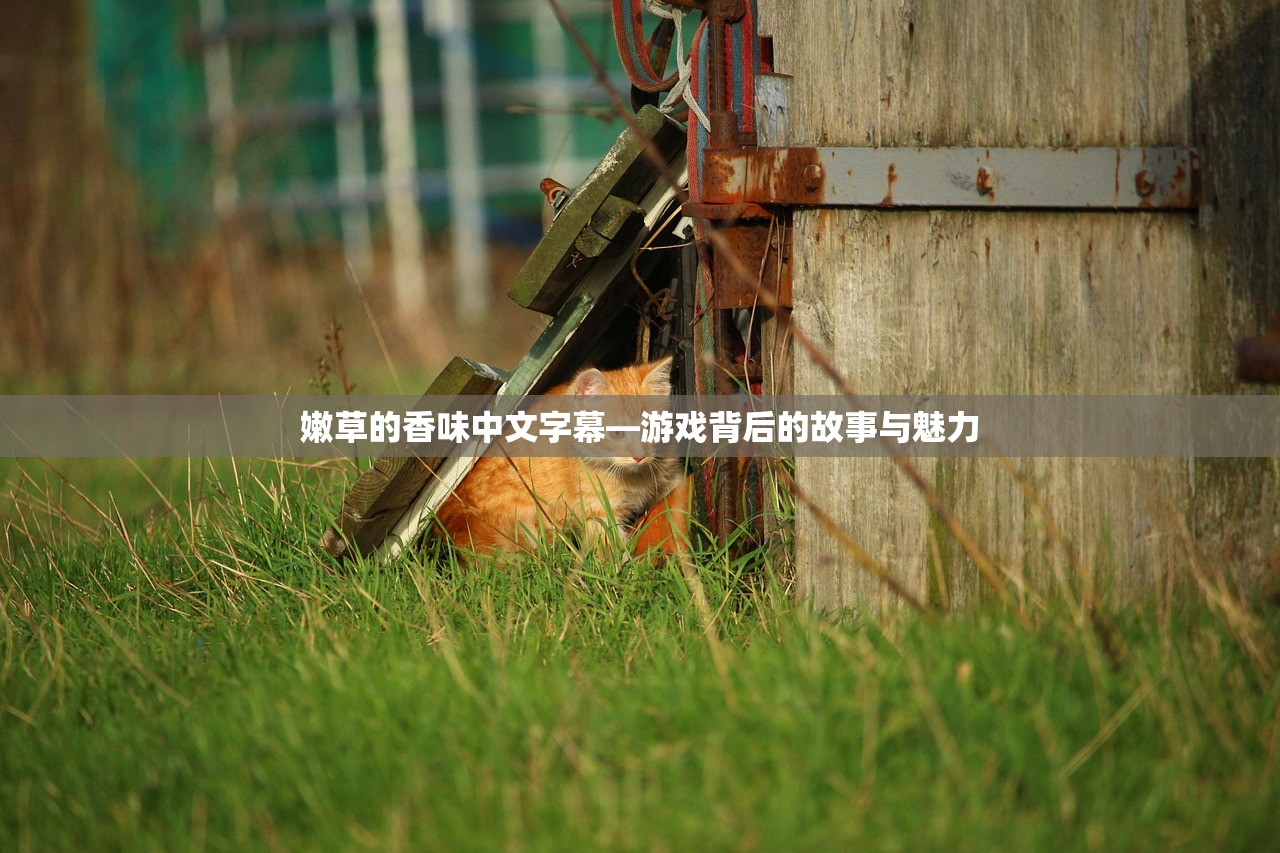 嫩草的香味中文字幕—游戏背后的故事与魅力