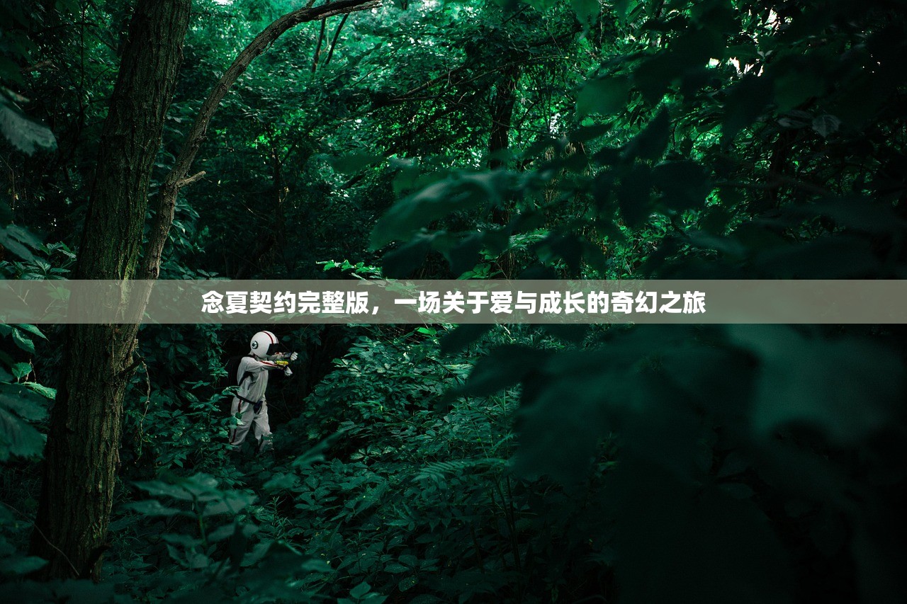 念夏契约完整版，一场关于爱与成长的奇幻之旅