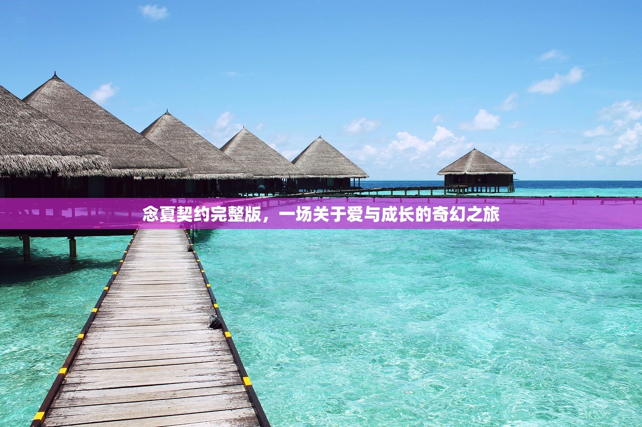念夏契约完整版，一场关于爱与成长的奇幻之旅