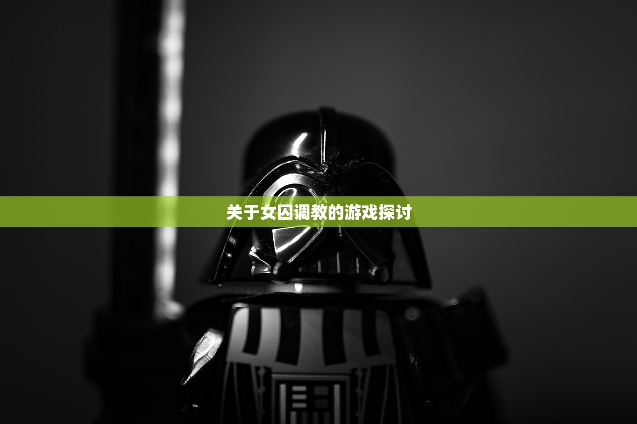 关于女囚调教的游戏探讨