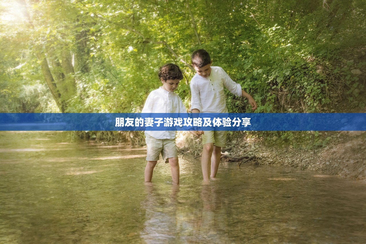 朋友的妻子游戏攻略及体验分享