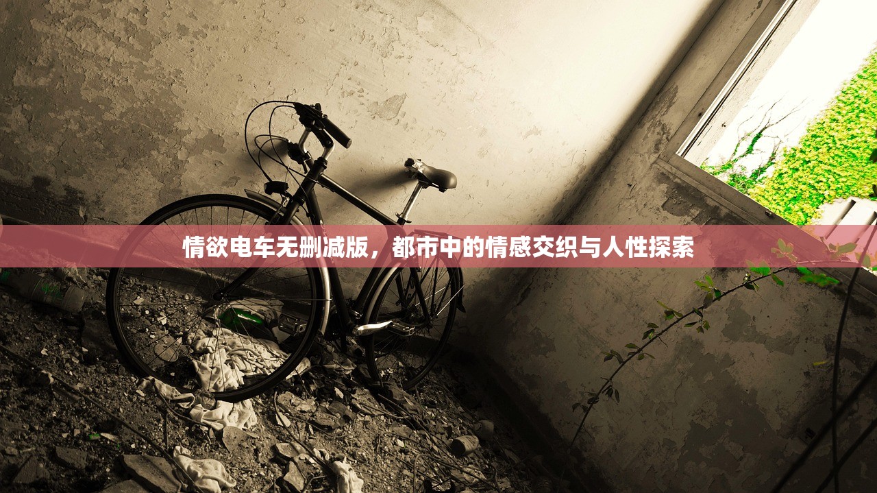 情欲电车无删减版，都市中的情感交织与人性探索
