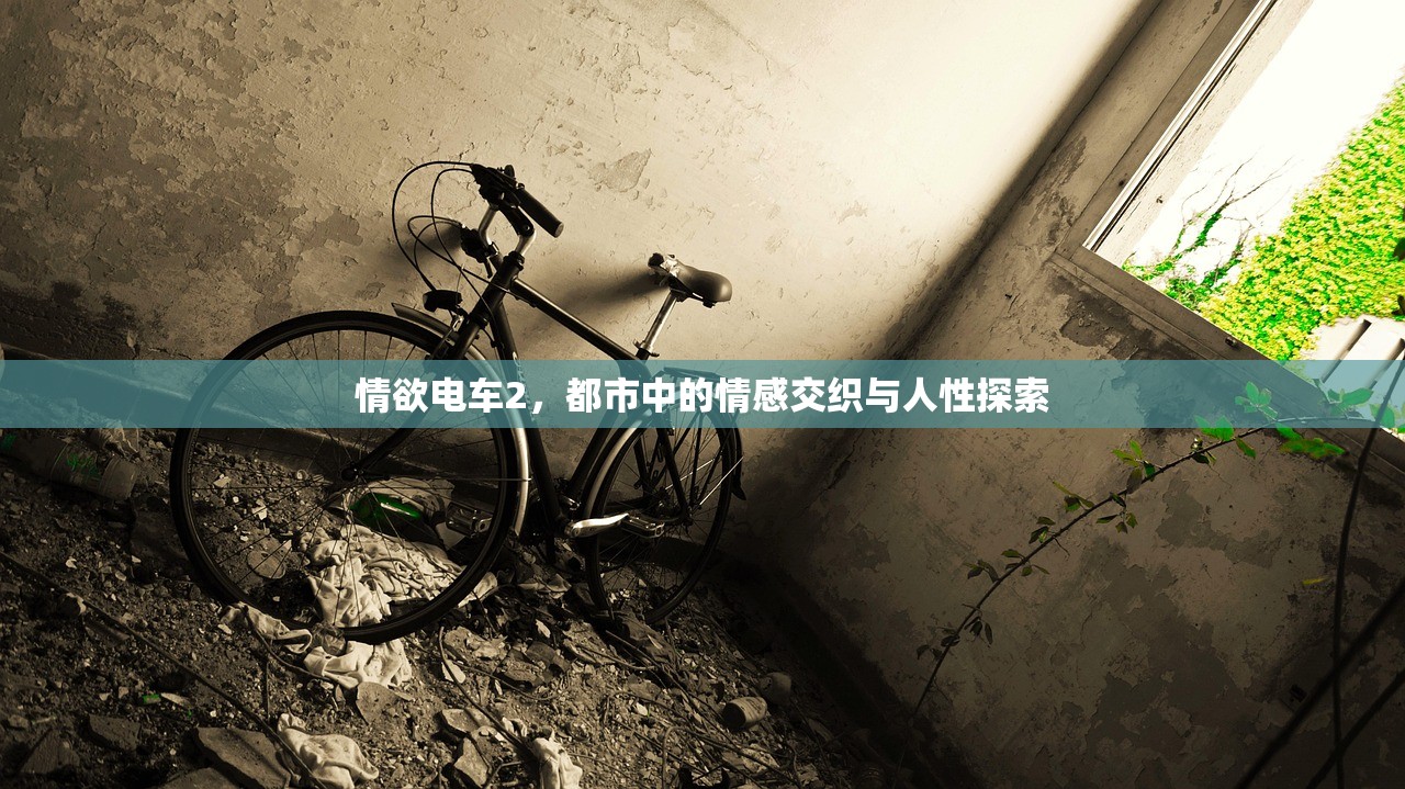 情欲电车2，都市中的情感交织与人性探索