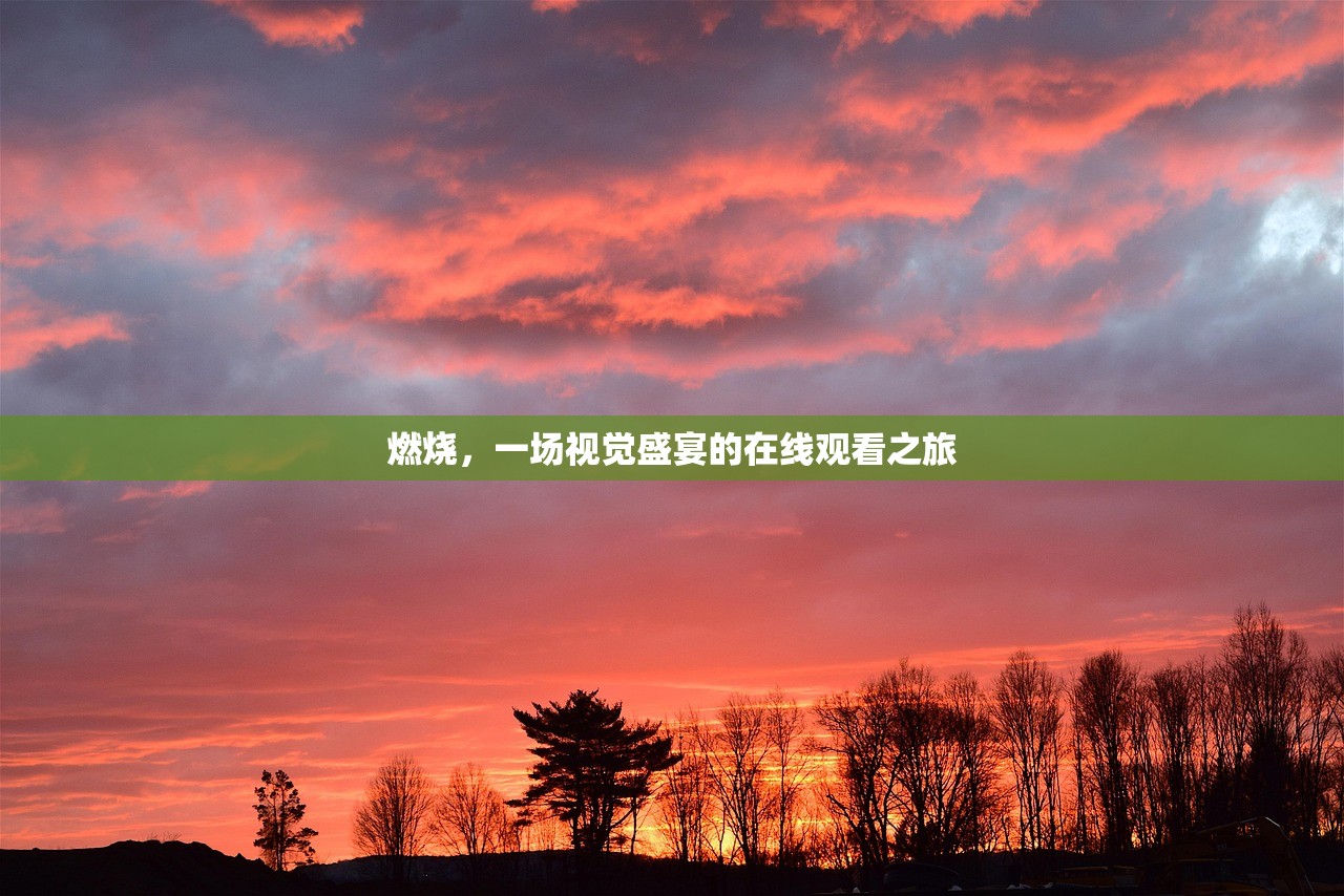 燃烧，一场视觉盛宴的在线观看之旅