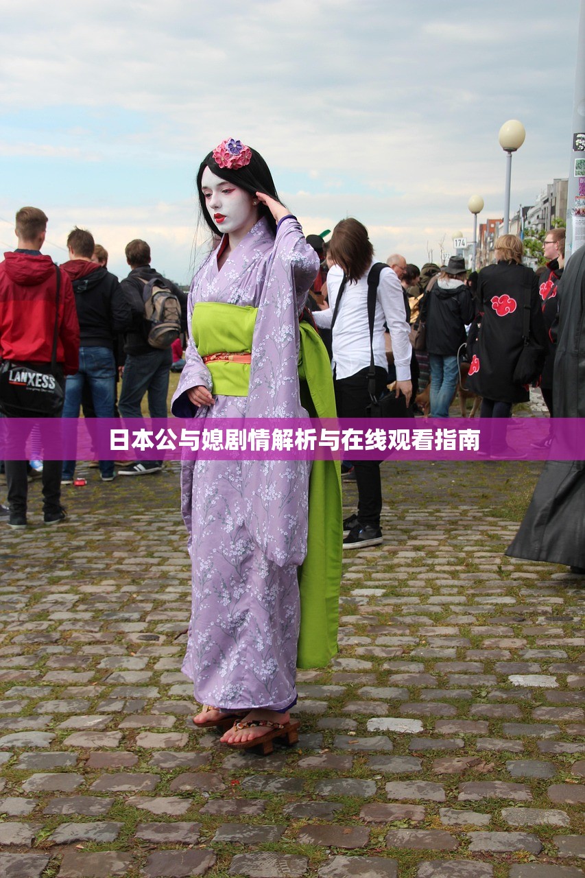 日本公与媳剧情解析与在线观看指南