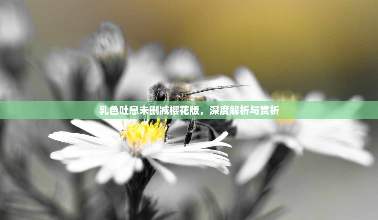 乳色吐息未删减樱花版，深度解析与赏析