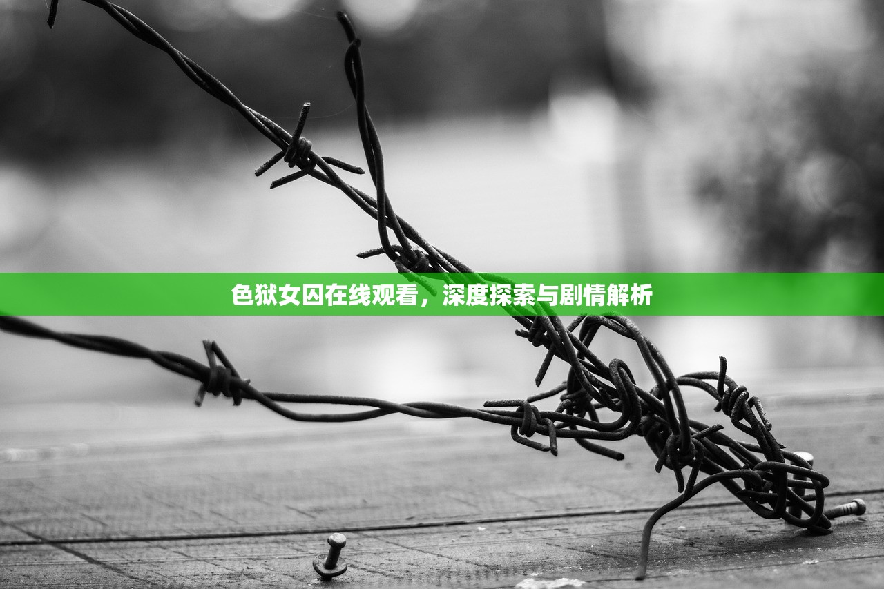 色狱女囚在线观看，深度探索与剧情解析