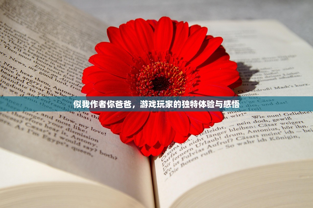 似我作者你爸爸，游戏玩家的独特体验与感悟