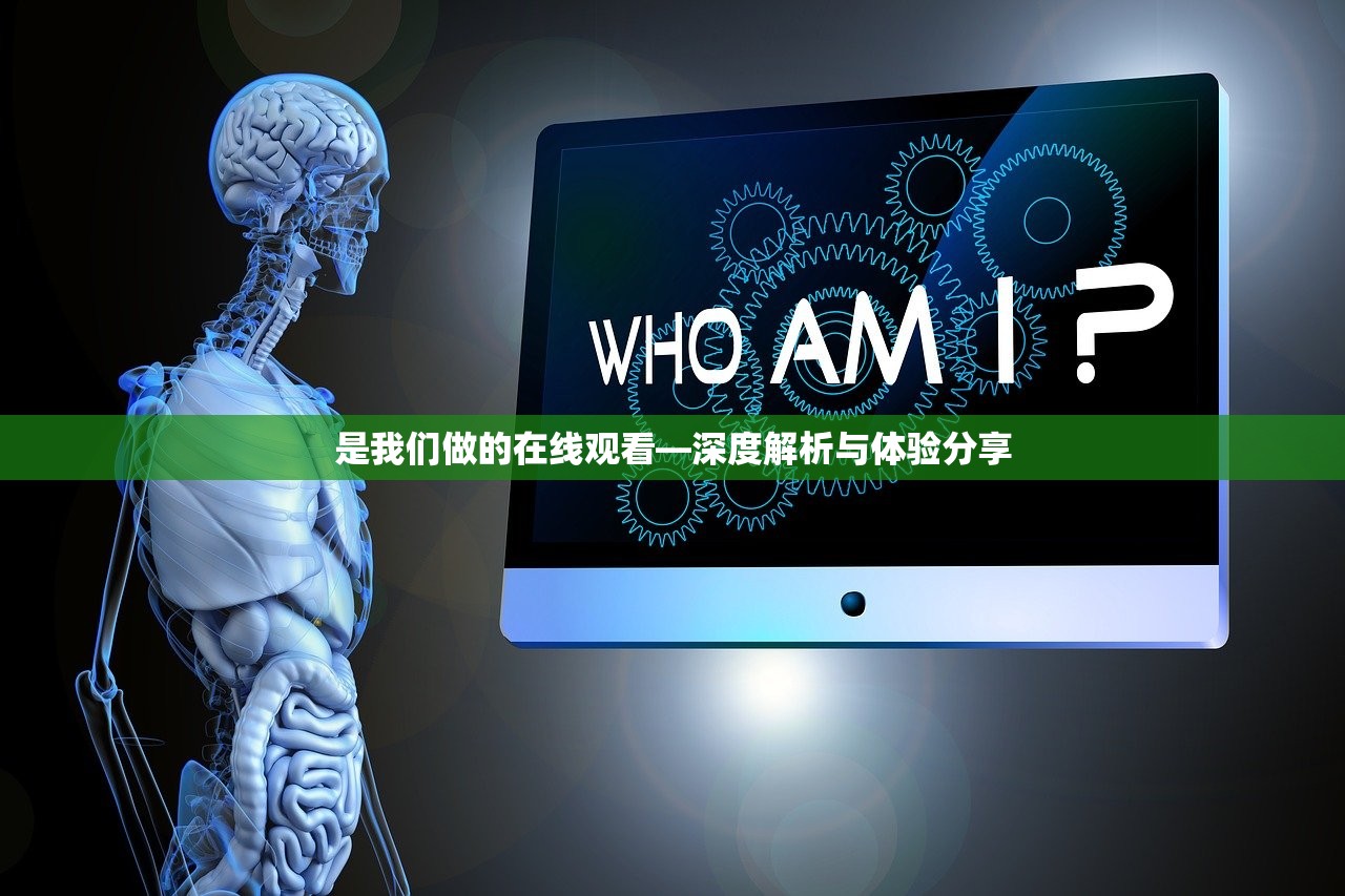 是我们做的在线观看—深度解析与体验分享