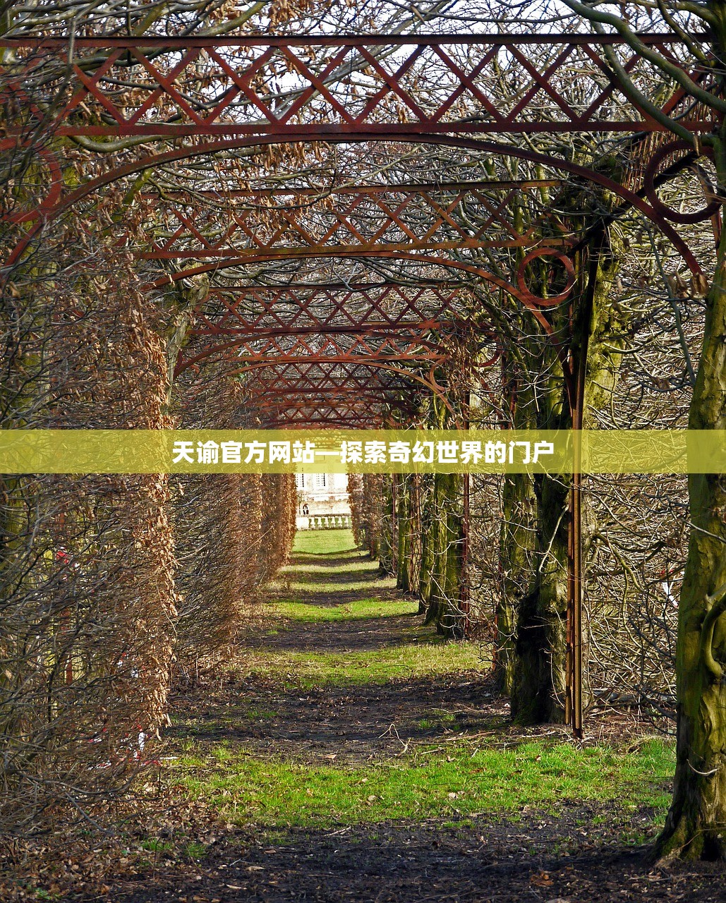 天谕官方网站—探索奇幻世界的门户