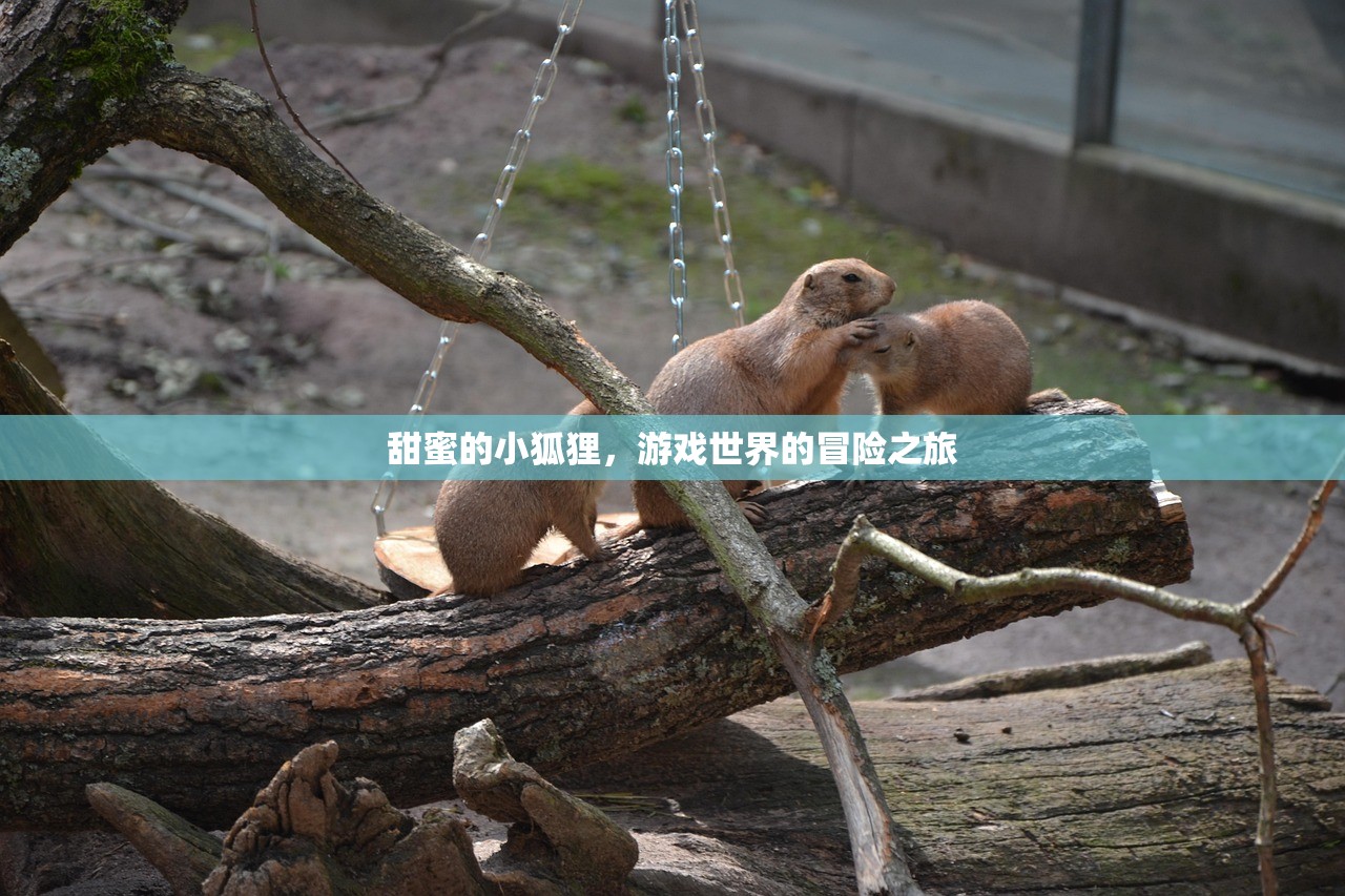 甜蜜的小狐狸，游戏世界的冒险之旅