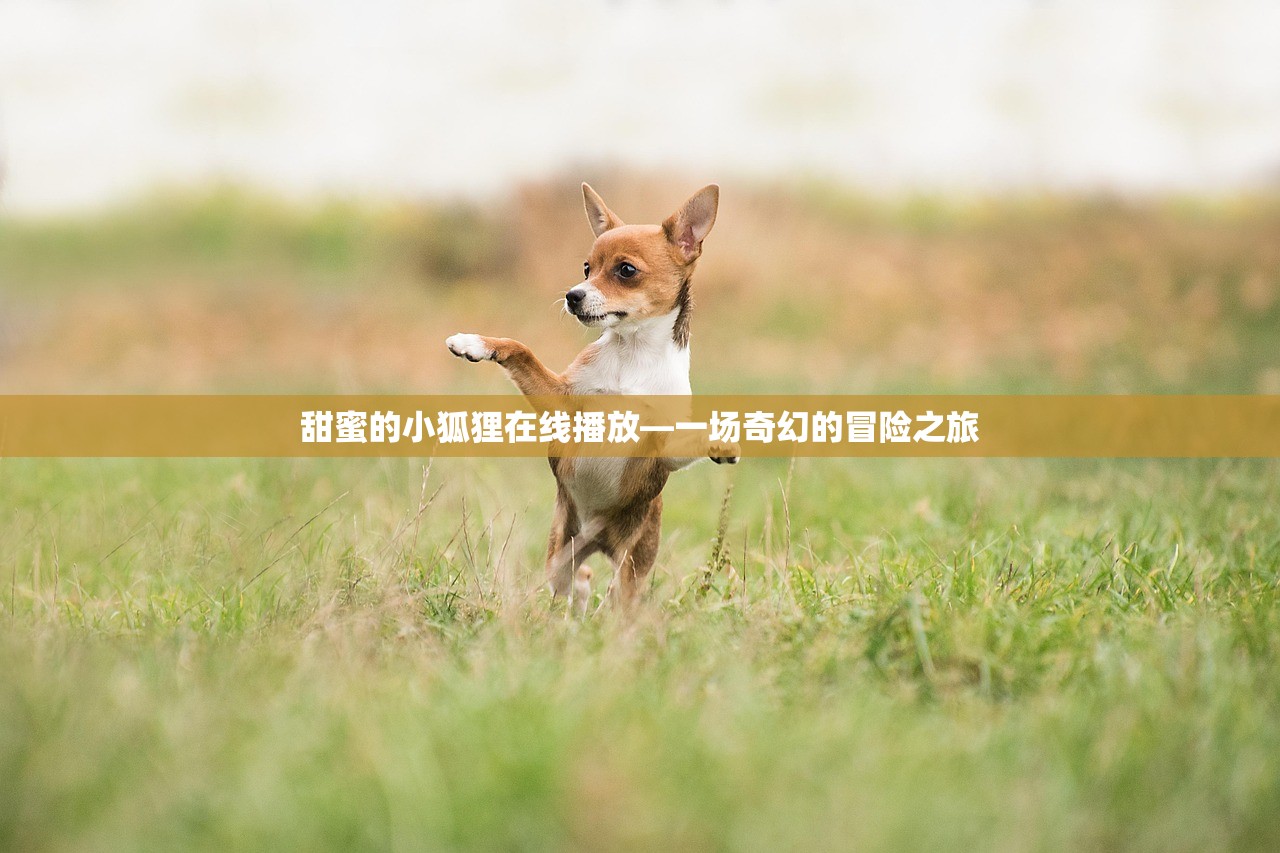 甜蜜的小狐狸在线播放—一场奇幻的冒险之旅