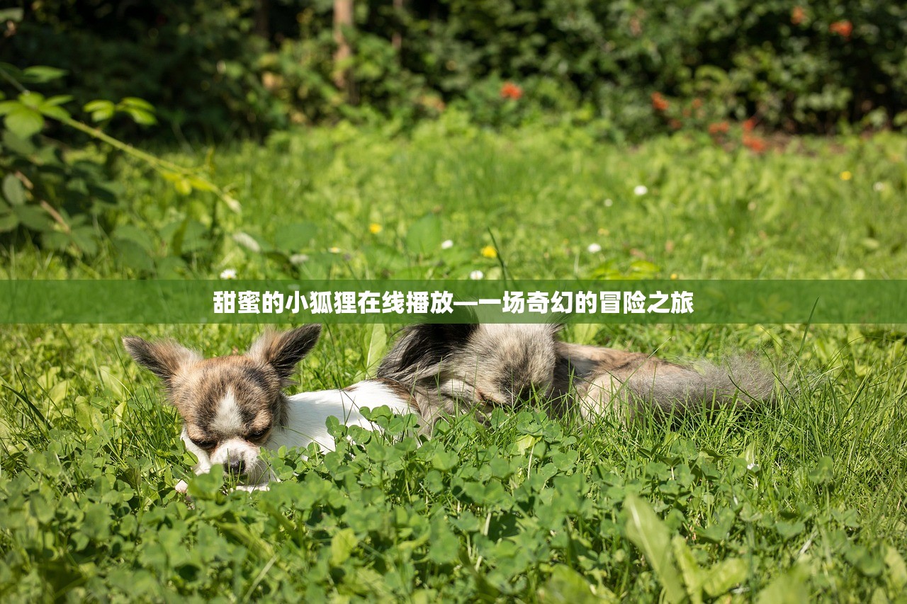 甜蜜的小狐狸在线播放—一场奇幻的冒险之旅