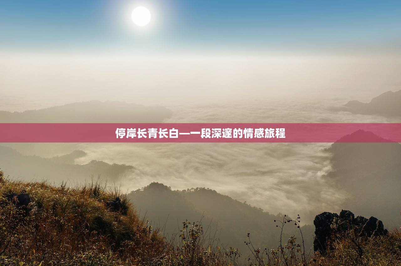 停岸长青长白—一段深邃的情感旅程