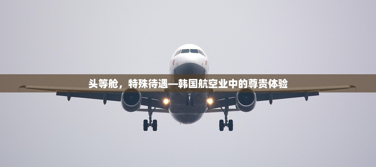 头等舱，特殊待遇—韩国航空业中的尊贵体验