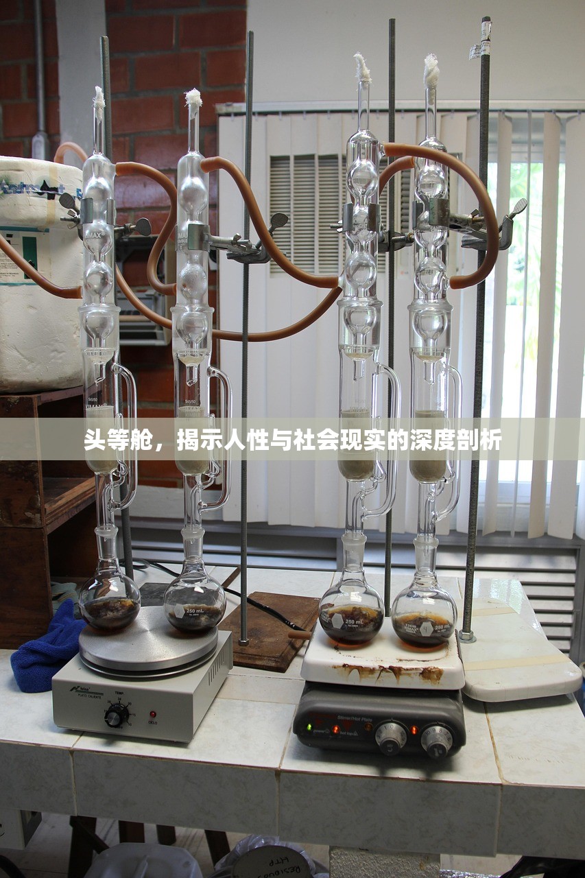 头等舱，揭示人性与社会现实的深度剖析