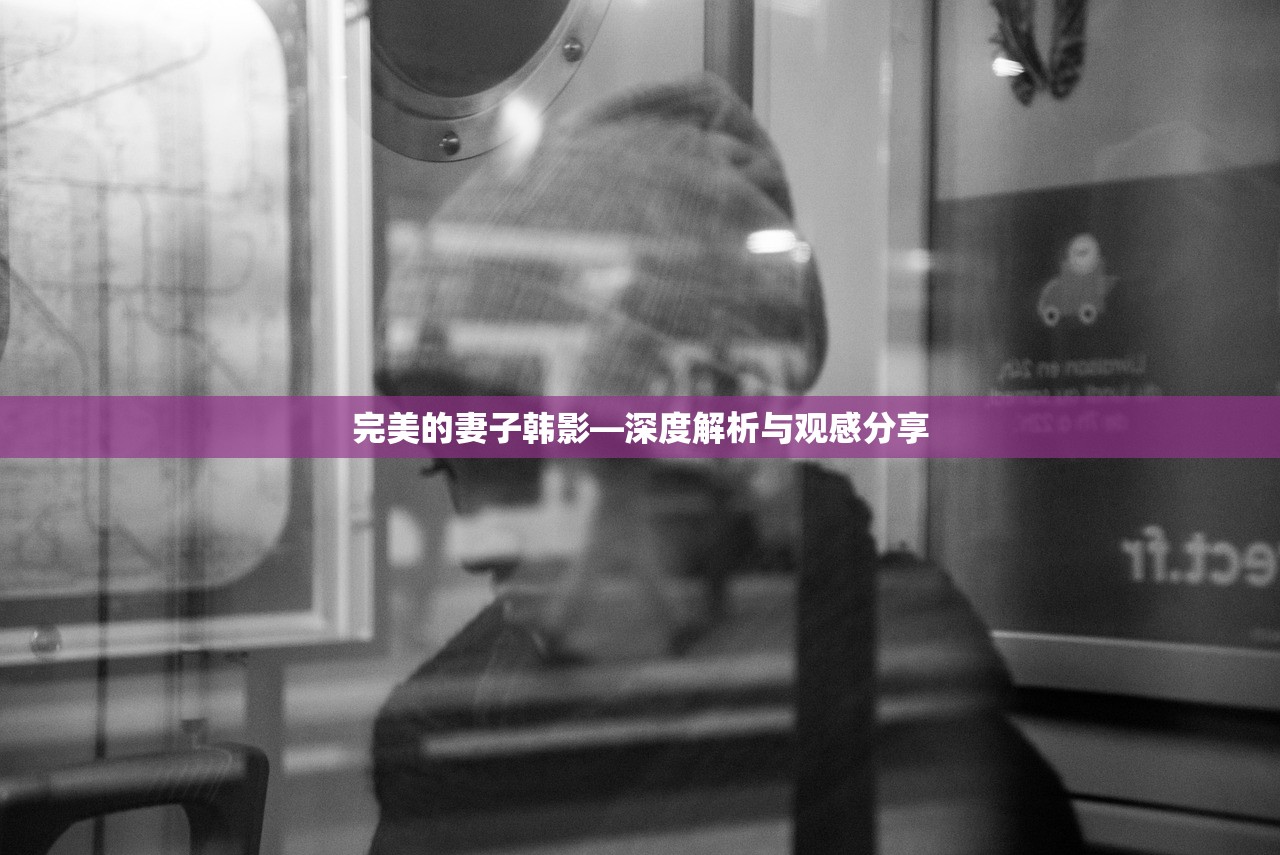 完美的妻子韩影—深度解析与观感分享