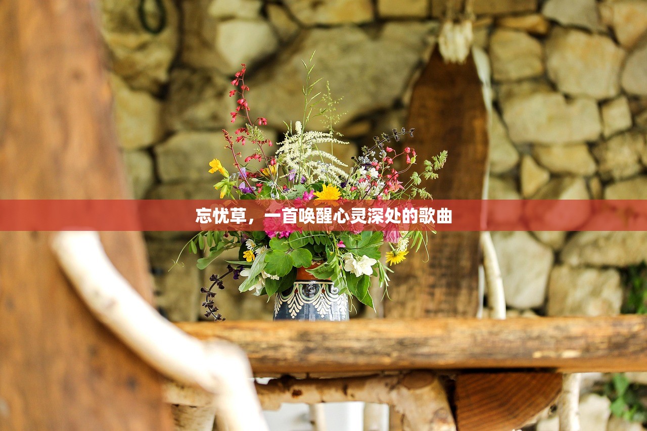 忘忧草，一首唤醒心灵深处的歌曲