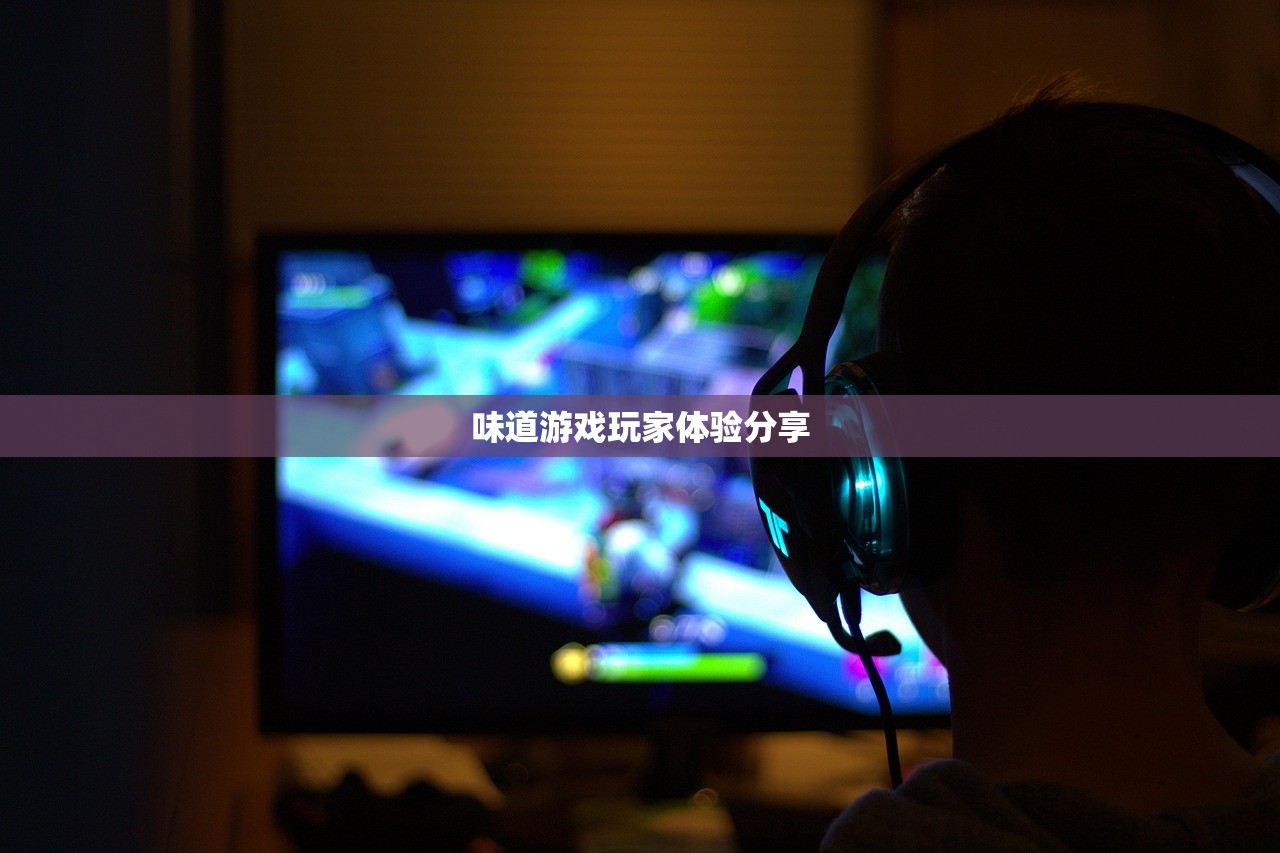 味道游戏玩家体验分享