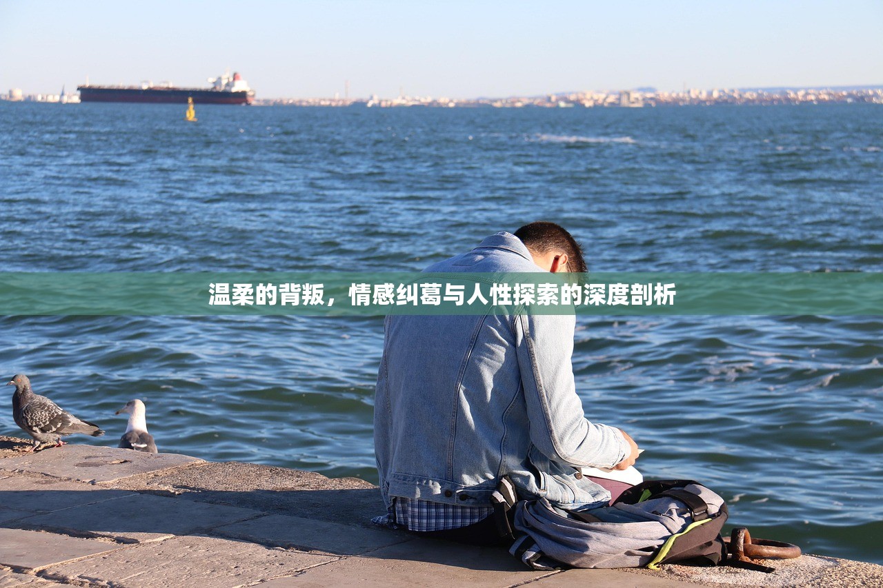 温柔的背叛，情感纠葛与人性探索的深度剖析