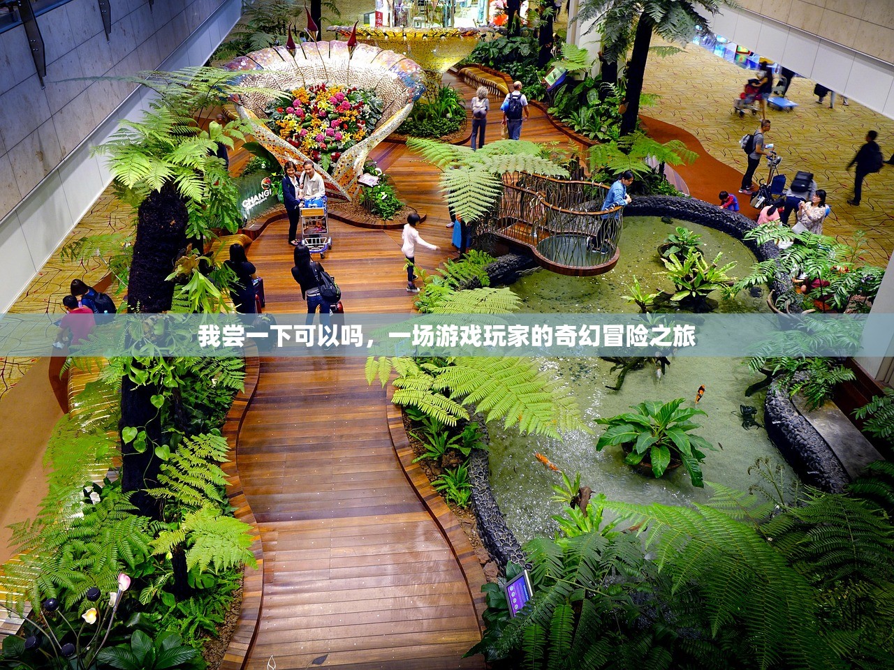 我尝一下可以吗，一场游戏玩家的奇幻冒险之旅