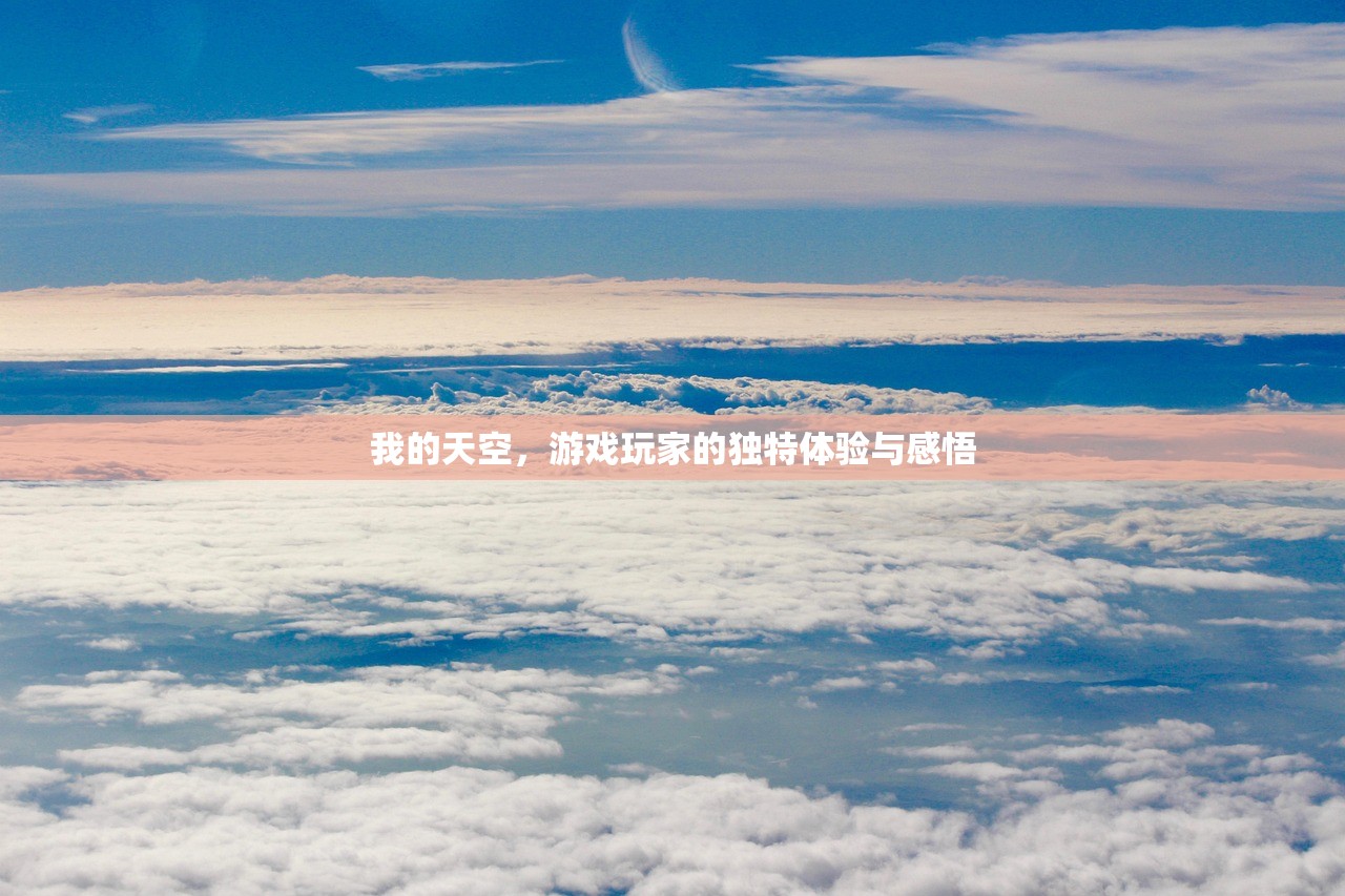 我的天空，游戏玩家的独特体验与感悟