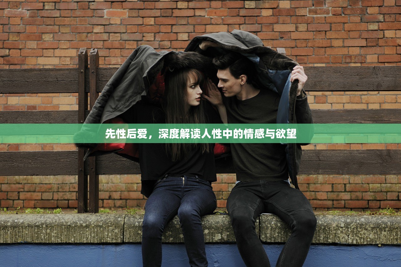 先性后爱，深度解读人性中的情感与欲望