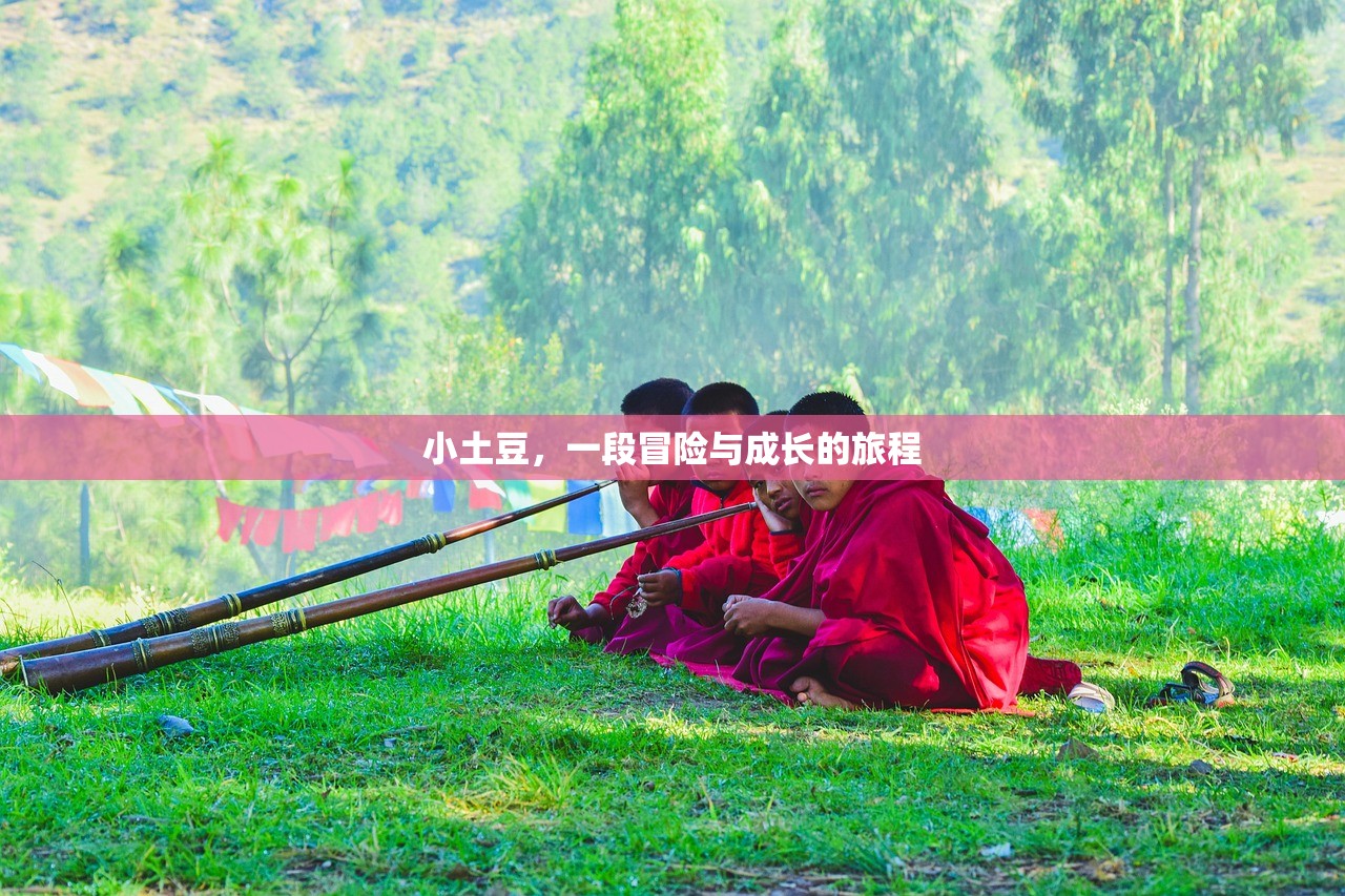 小土豆，一段冒险与成长的旅程