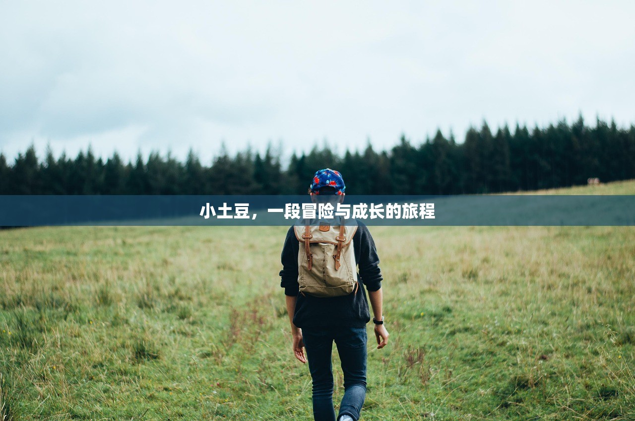 小土豆，一段冒险与成长的旅程