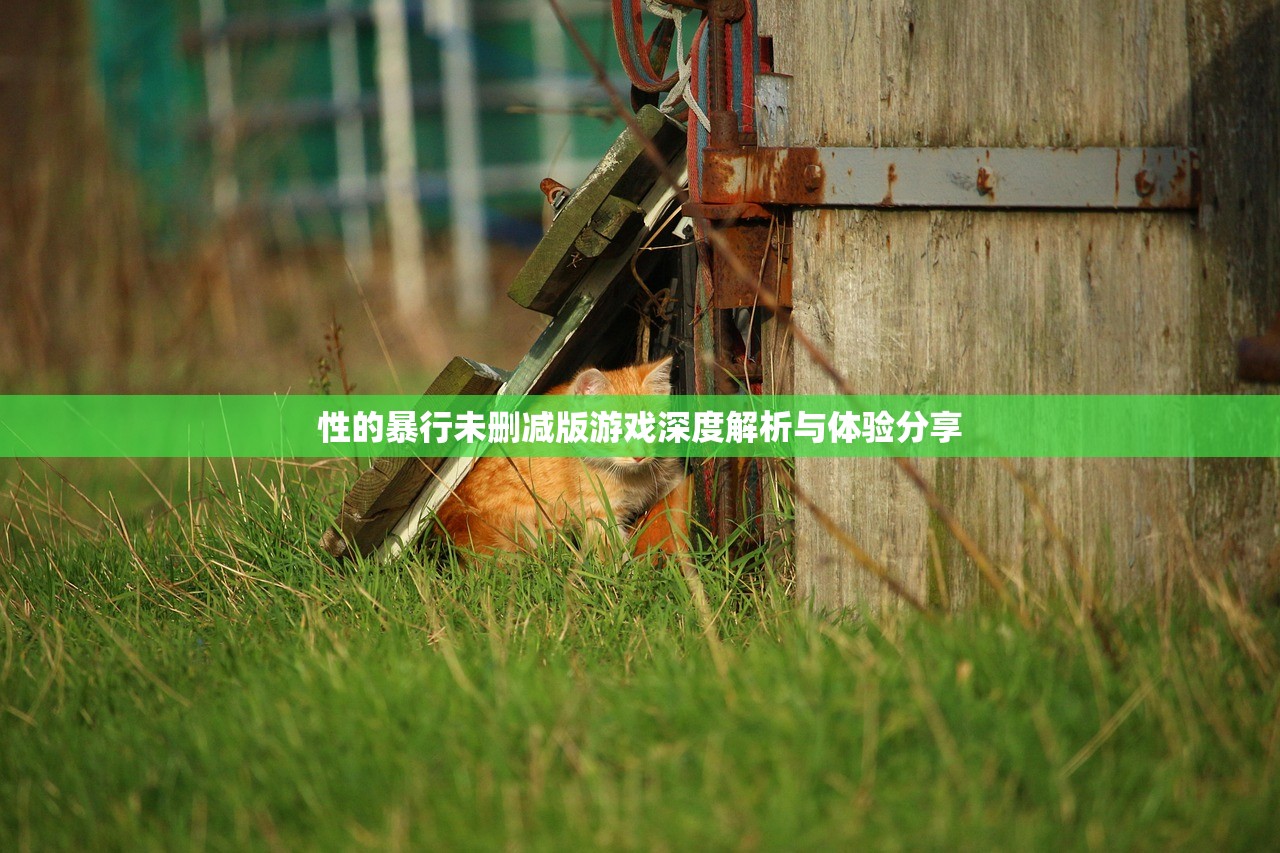 性的暴行未删减版游戏深度解析与体验分享