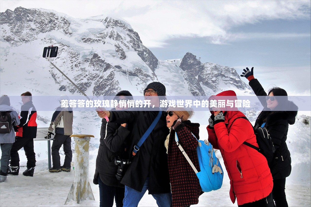 羞答答的玫瑰静悄悄的开，游戏世界中的美丽与冒险