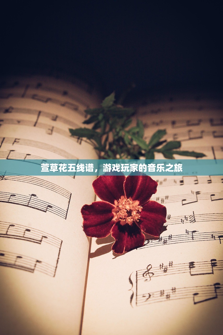 萱草花五线谱，游戏玩家的音乐之旅