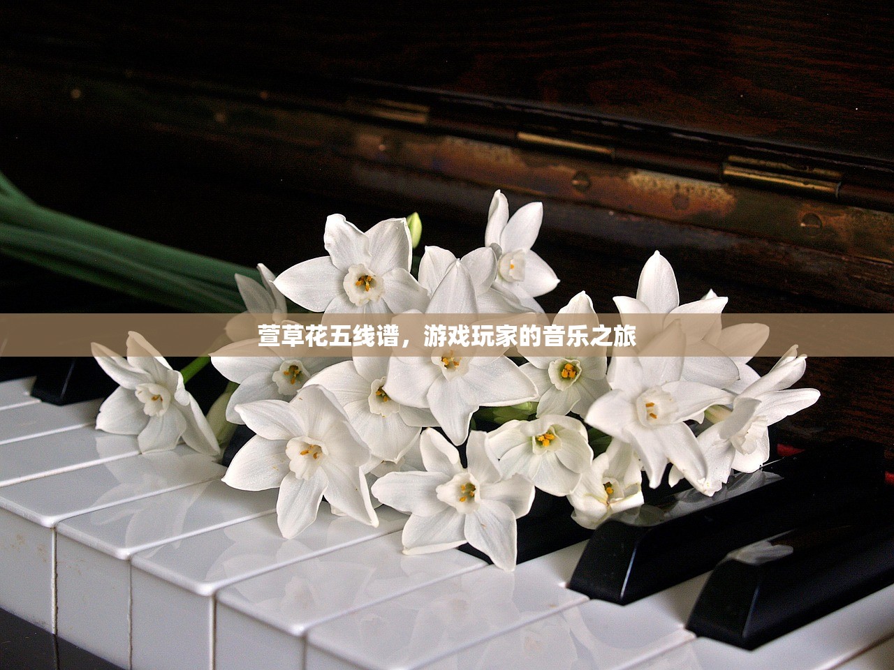 萱草花五线谱，游戏玩家的音乐之旅