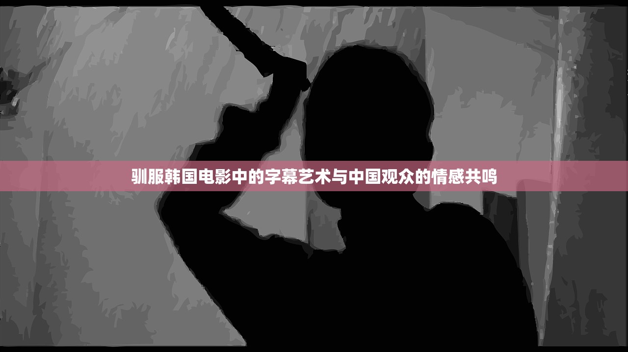 驯服韩国电影中的字幕艺术与中国观众的情感共鸣