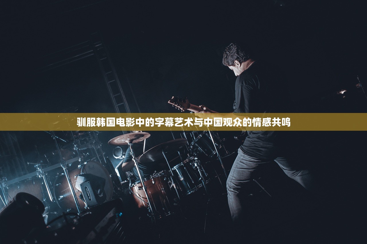 驯服韩国电影中的字幕艺术与中国观众的情感共鸣