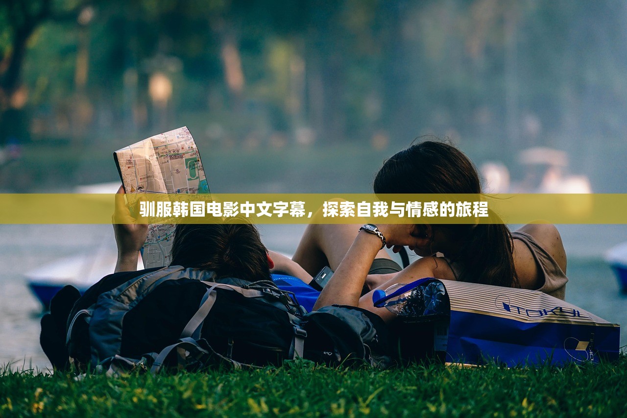 驯服韩国电影中文字幕，探索自我与情感的旅程