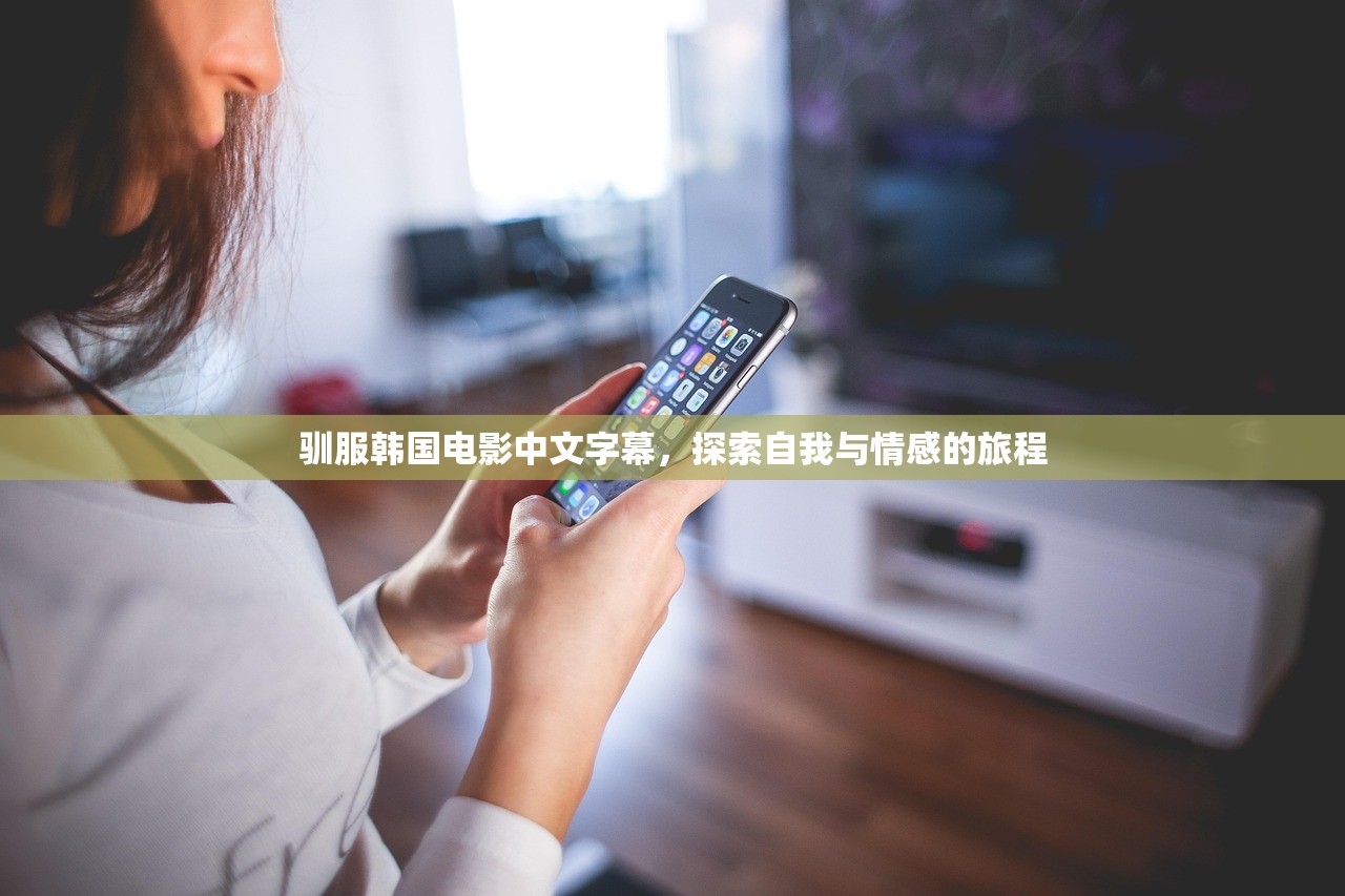驯服韩国电影中文字幕，探索自我与情感的旅程