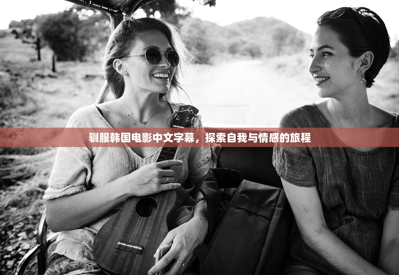 驯服韩国电影中文字幕，探索自我与情感的旅程