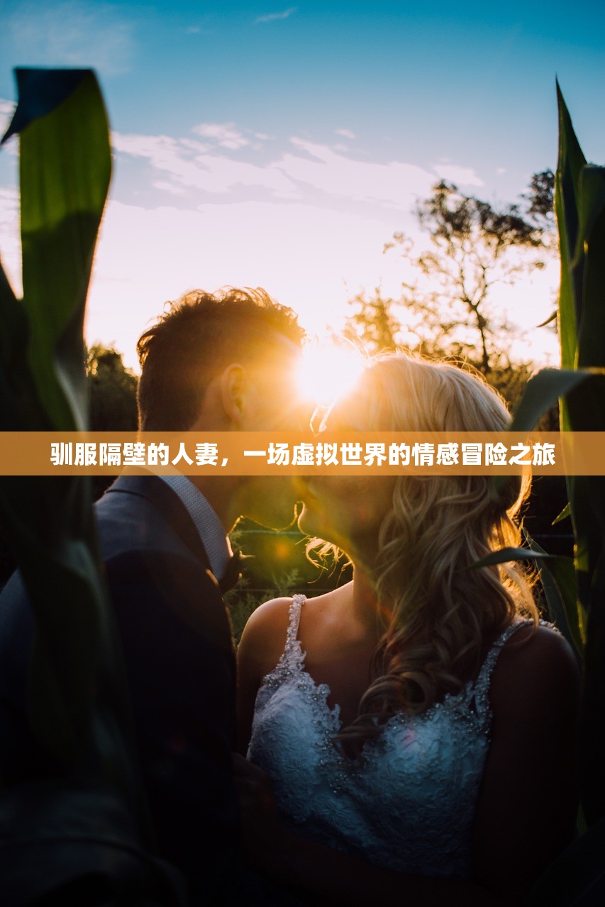 驯服隔壁的人妻，一场虚拟世界的情感冒险之旅