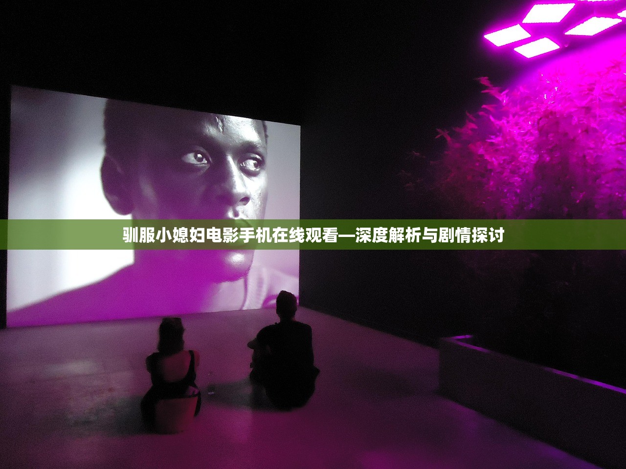 驯服小媳妇电影手机在线观看—深度解析与剧情探讨