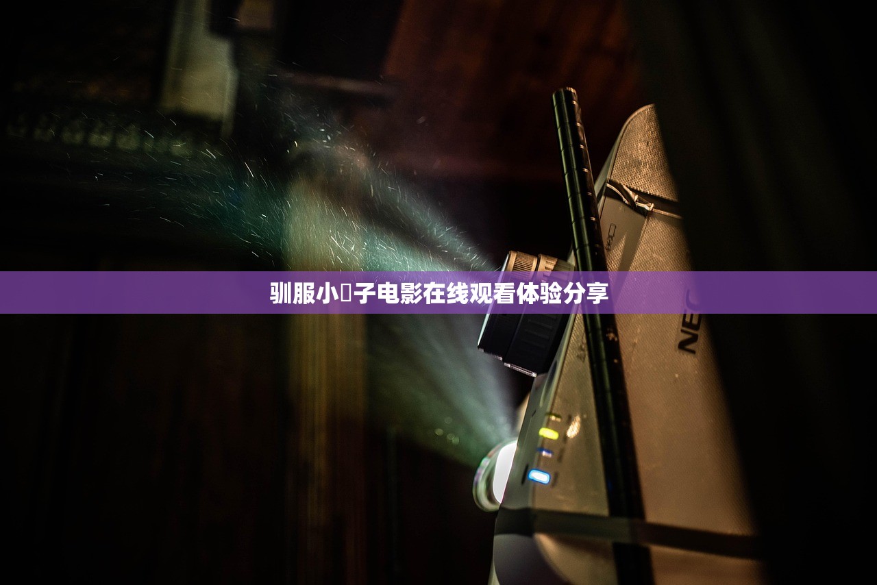 驯服小峓子电影在线观看体验分享