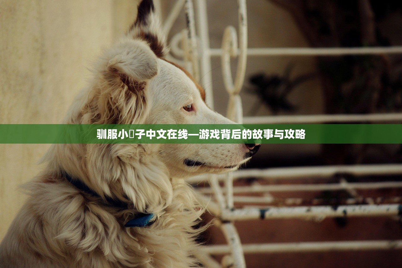 驯服小峓子中文在线—游戏背后的故事与攻略