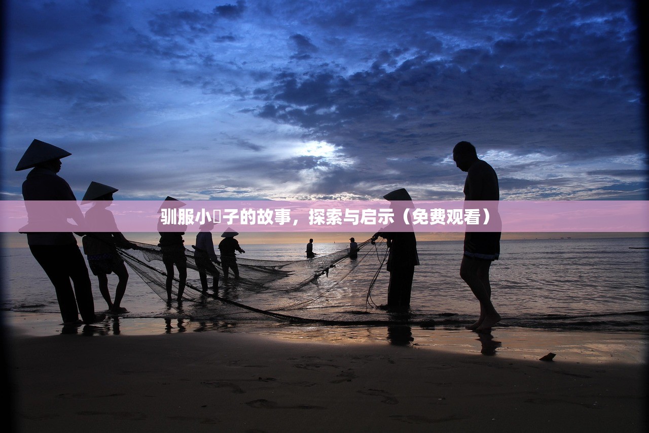 驯服小峓子的故事，探索与启示（免费观看）